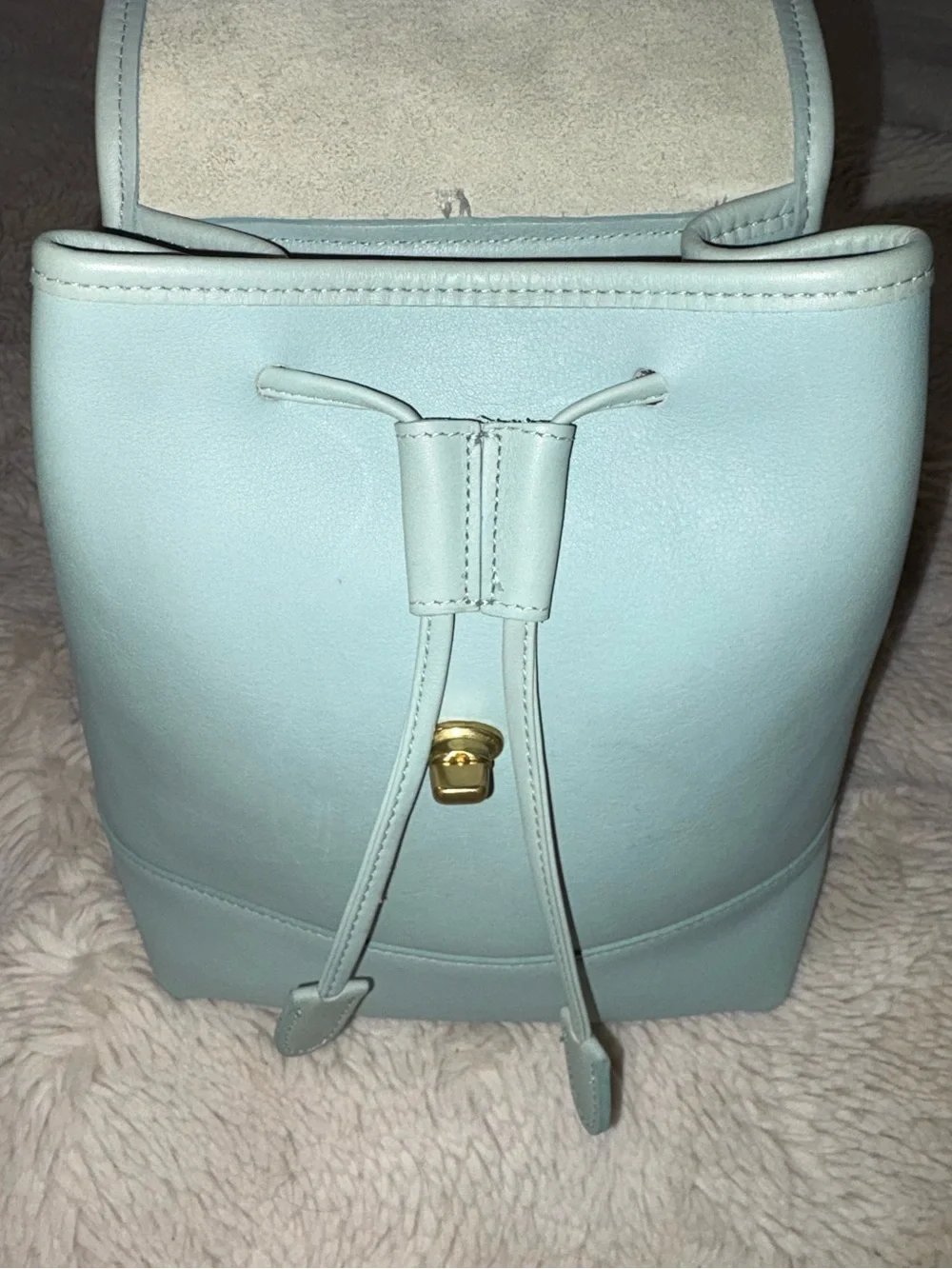 VTG (rare light green) PRISTINE COACH SMALL LEATHER DAYPACK